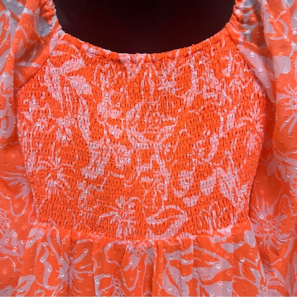 ⭐️⭐️HP ⭐️⭐️Skies Are Blue Apricot Lane dress - Picture 3 of 15